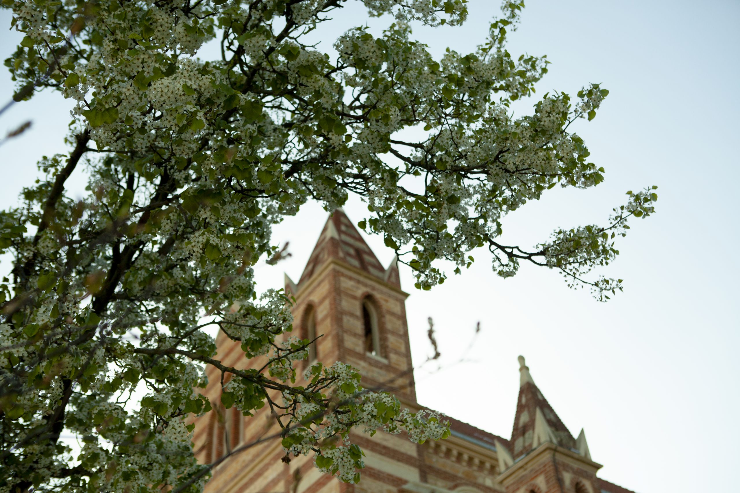 Il s'agit d'une photo de la ville Genas.