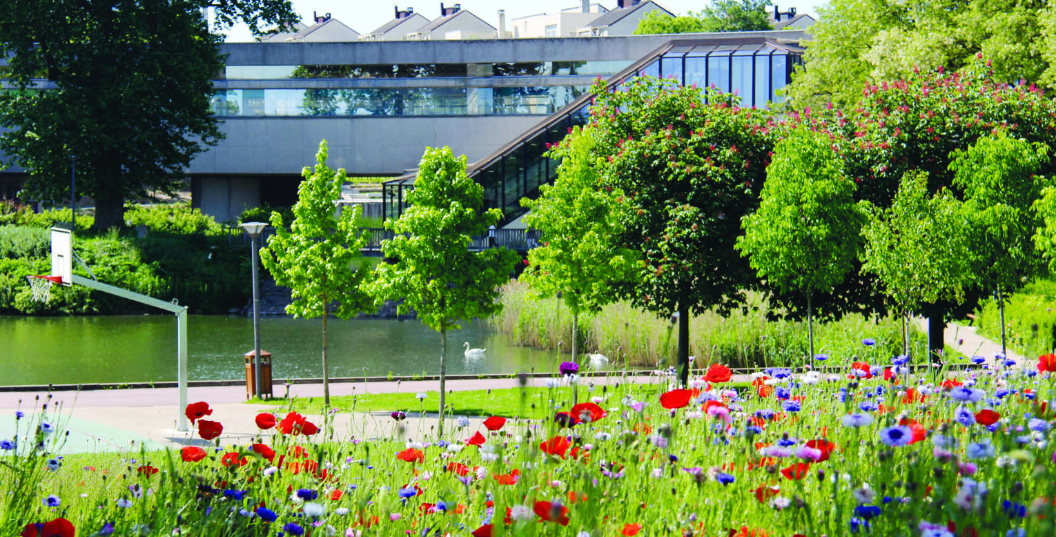 Il s'agit d'une photo de la ville Lognes.