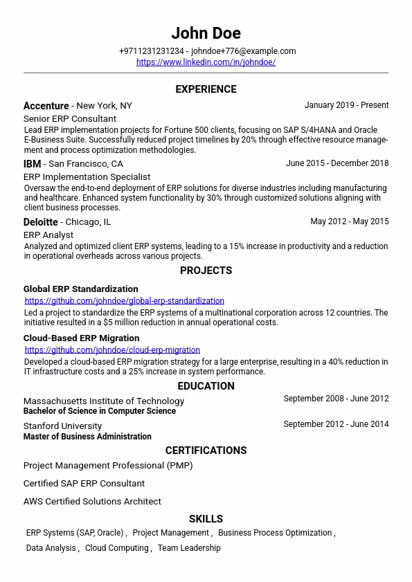 Erp Consultant Resume Image