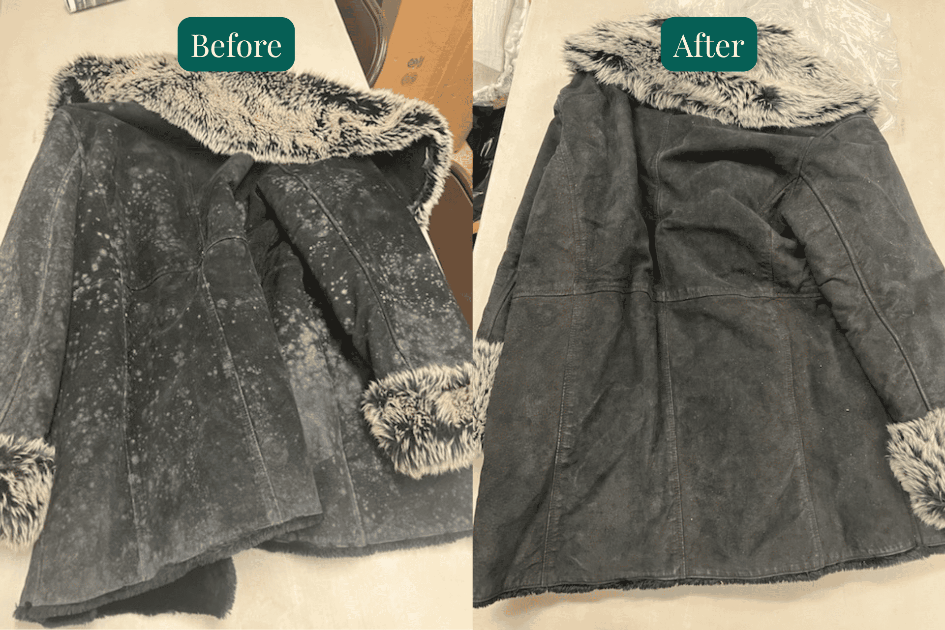 Summer Humidity and Your Closet: Why Mold Shows Up Even Without a Flood