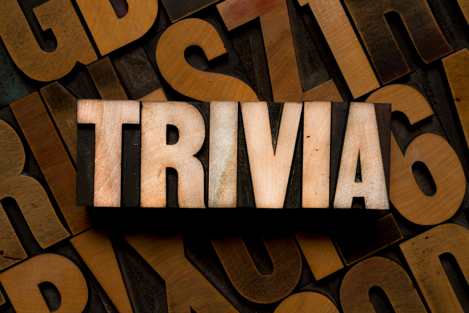 Game Nights, Trivia & Tastings: Why Cider Bars Are the New Social Spot