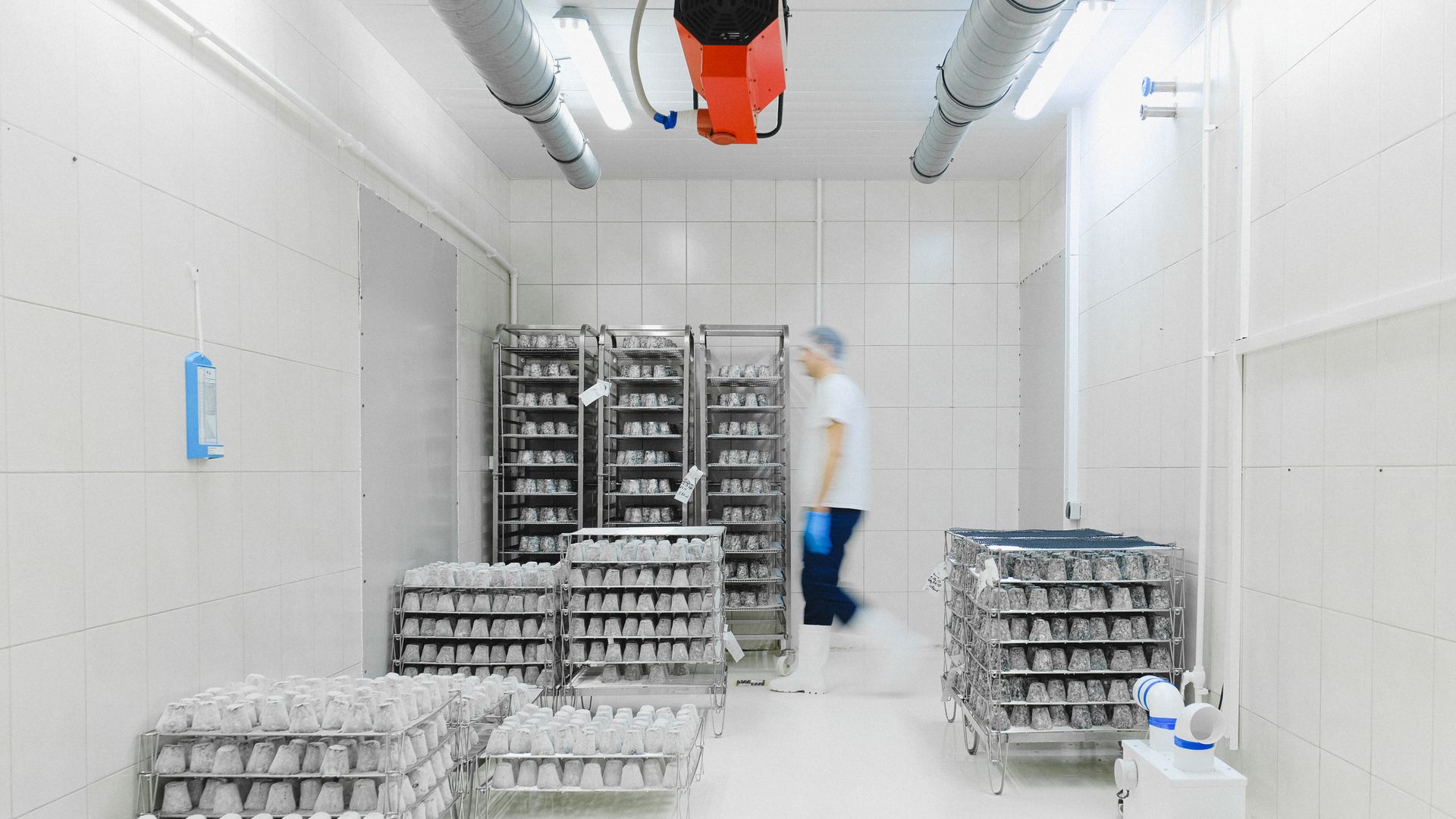 Warehouse worker moving product through a cold storage facility lined with shelves of perishable goods