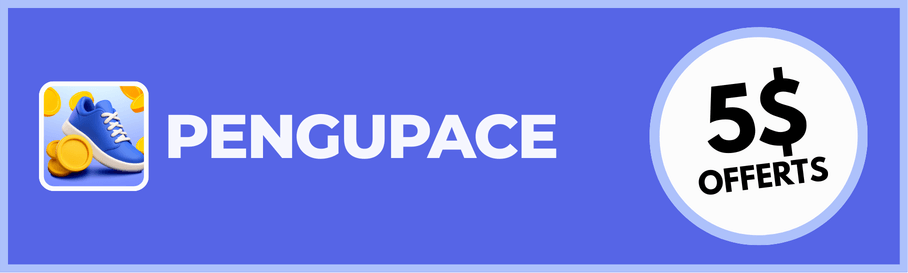 pengupace avis app marchant