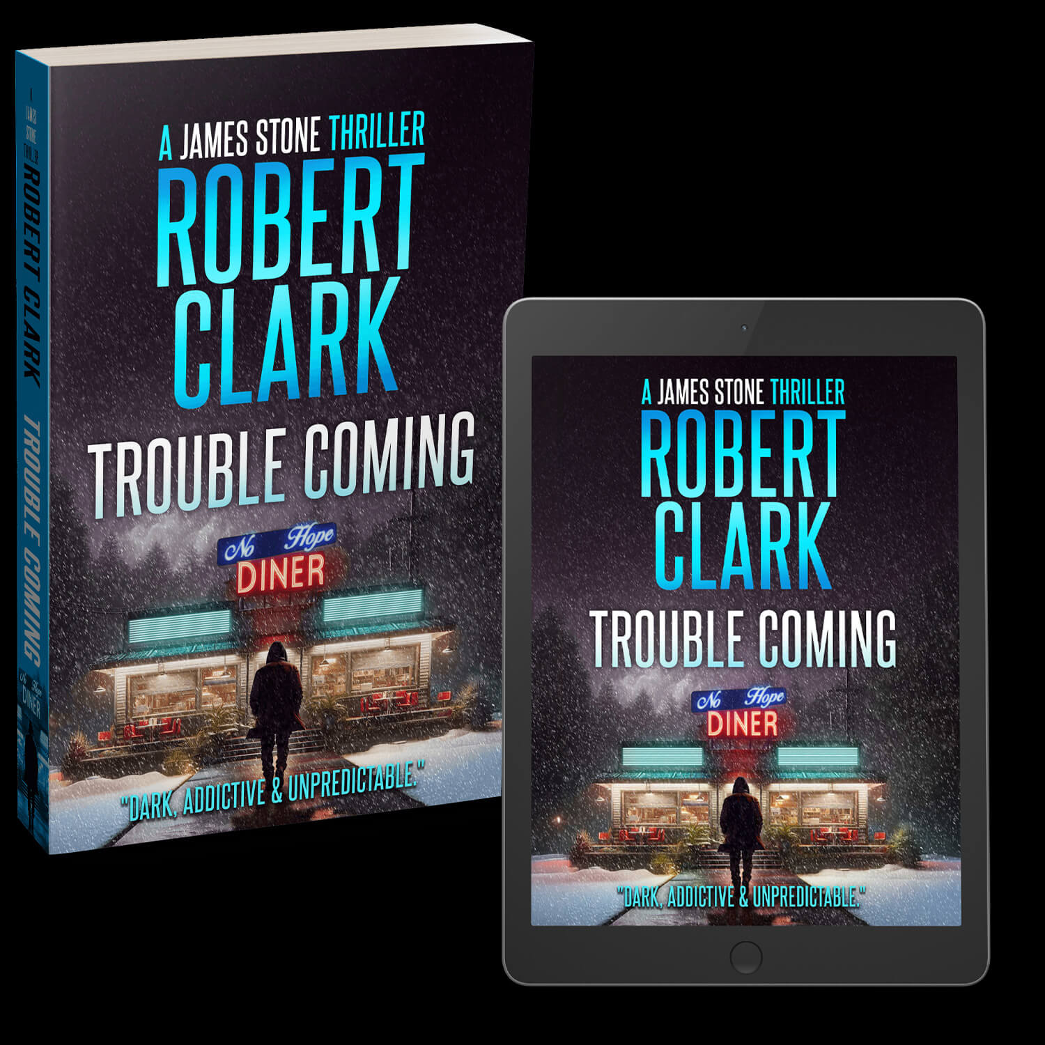 Trouble Coming paperback