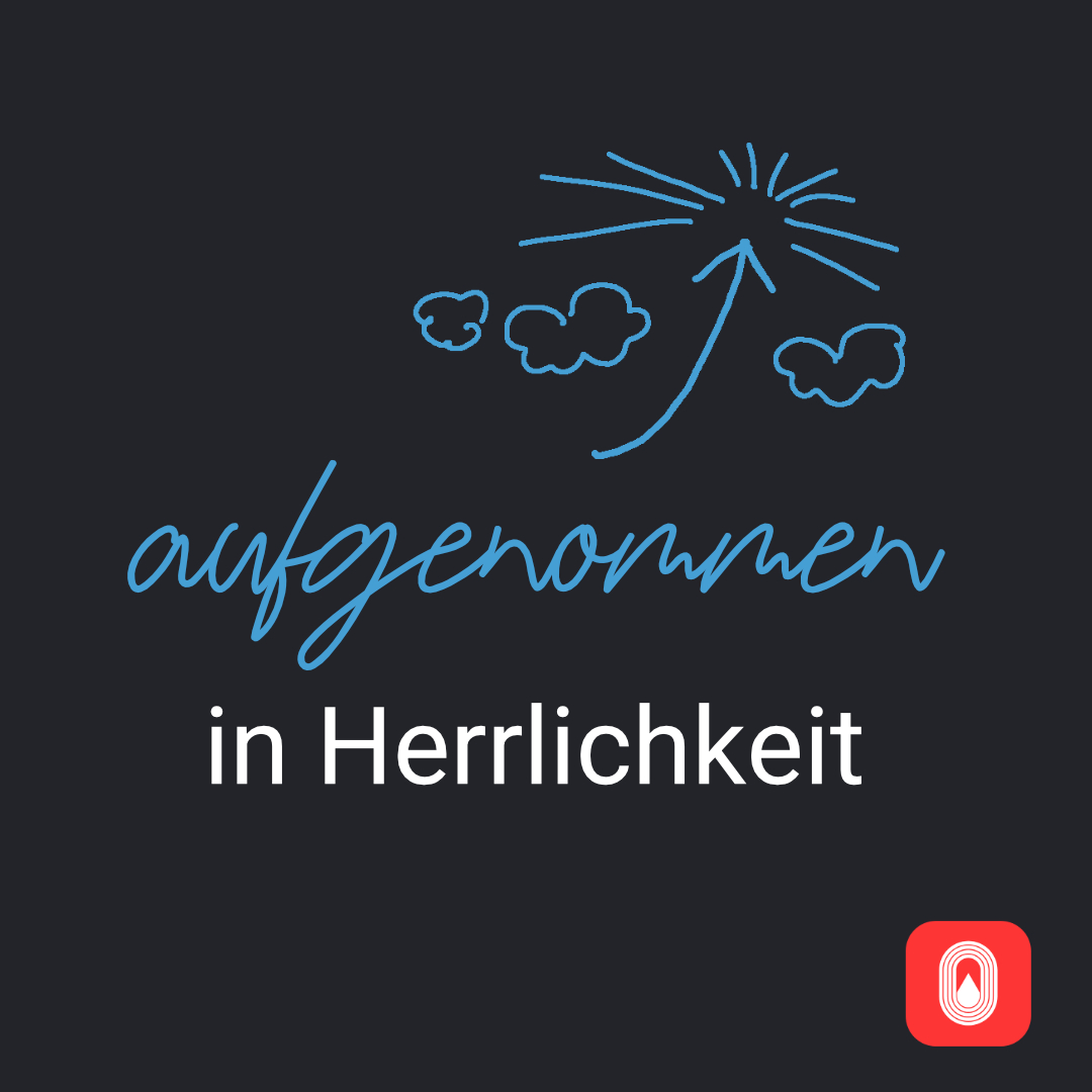 06-aufgenommen