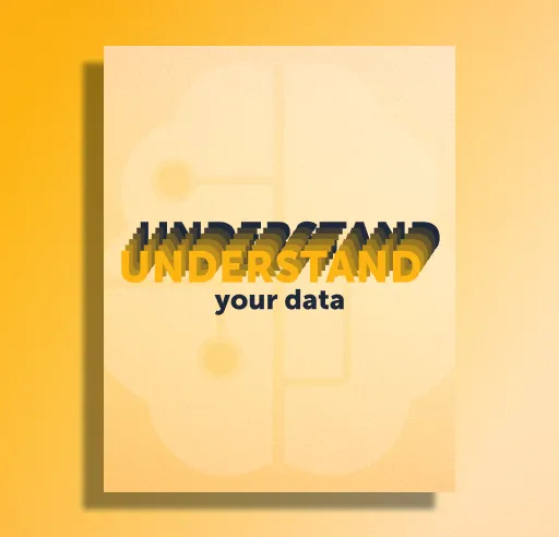 Understanding your data: the ultimate guide