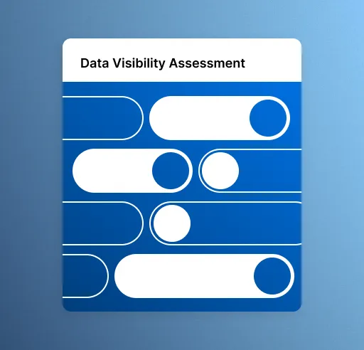 Data Visibility Assessment