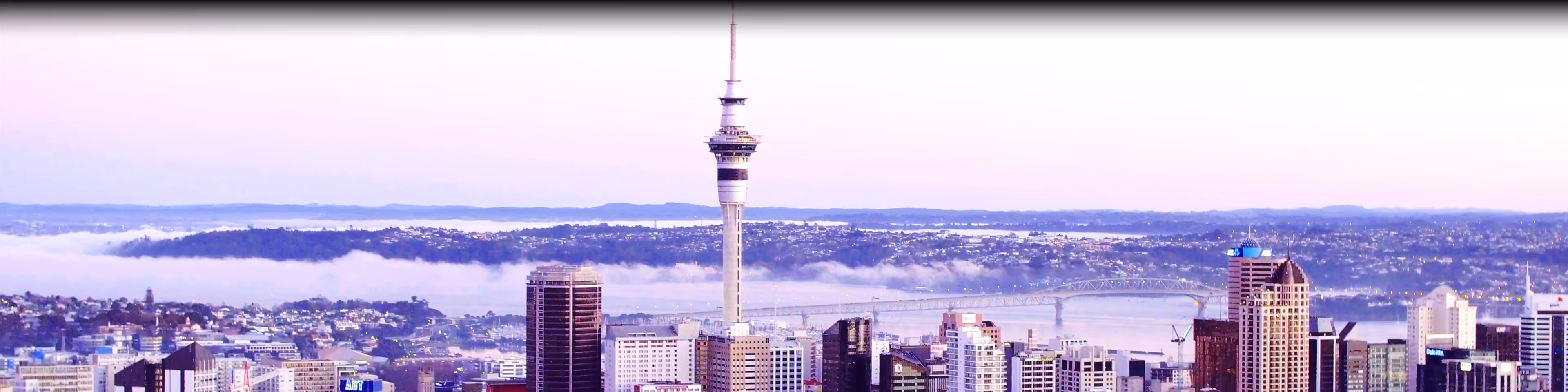 View of Auckland city