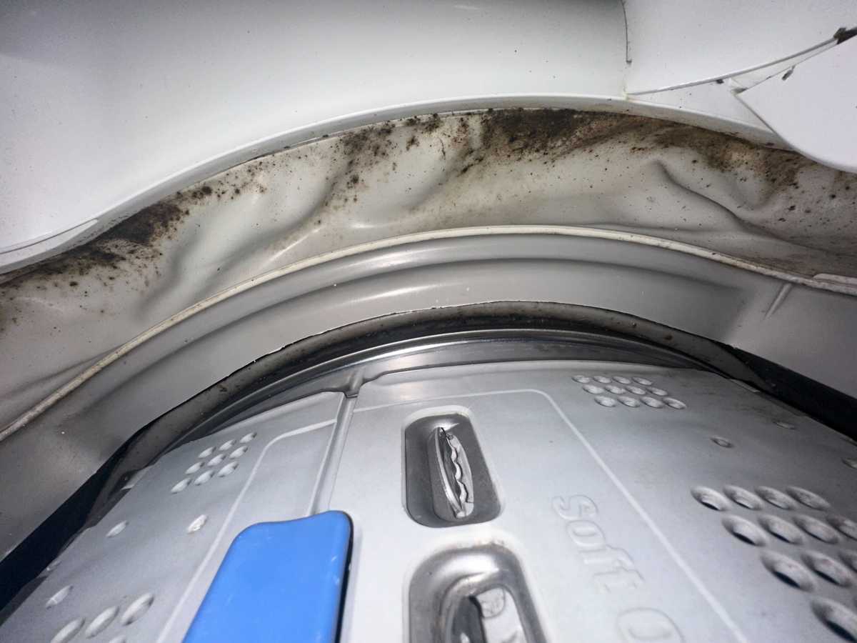 衣服洗後更髒？揭秘這部Electrolux上置式洗衣機隱藏的奧秘🧹