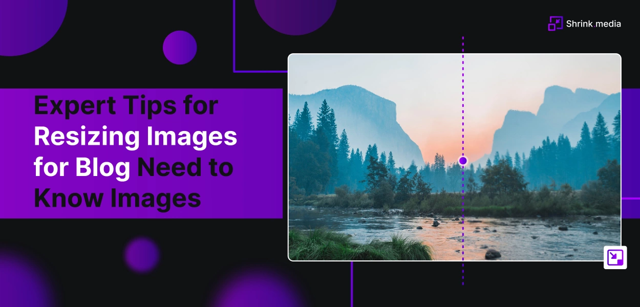 Expert Tips for Resizing Images for Blog Need to Know Images