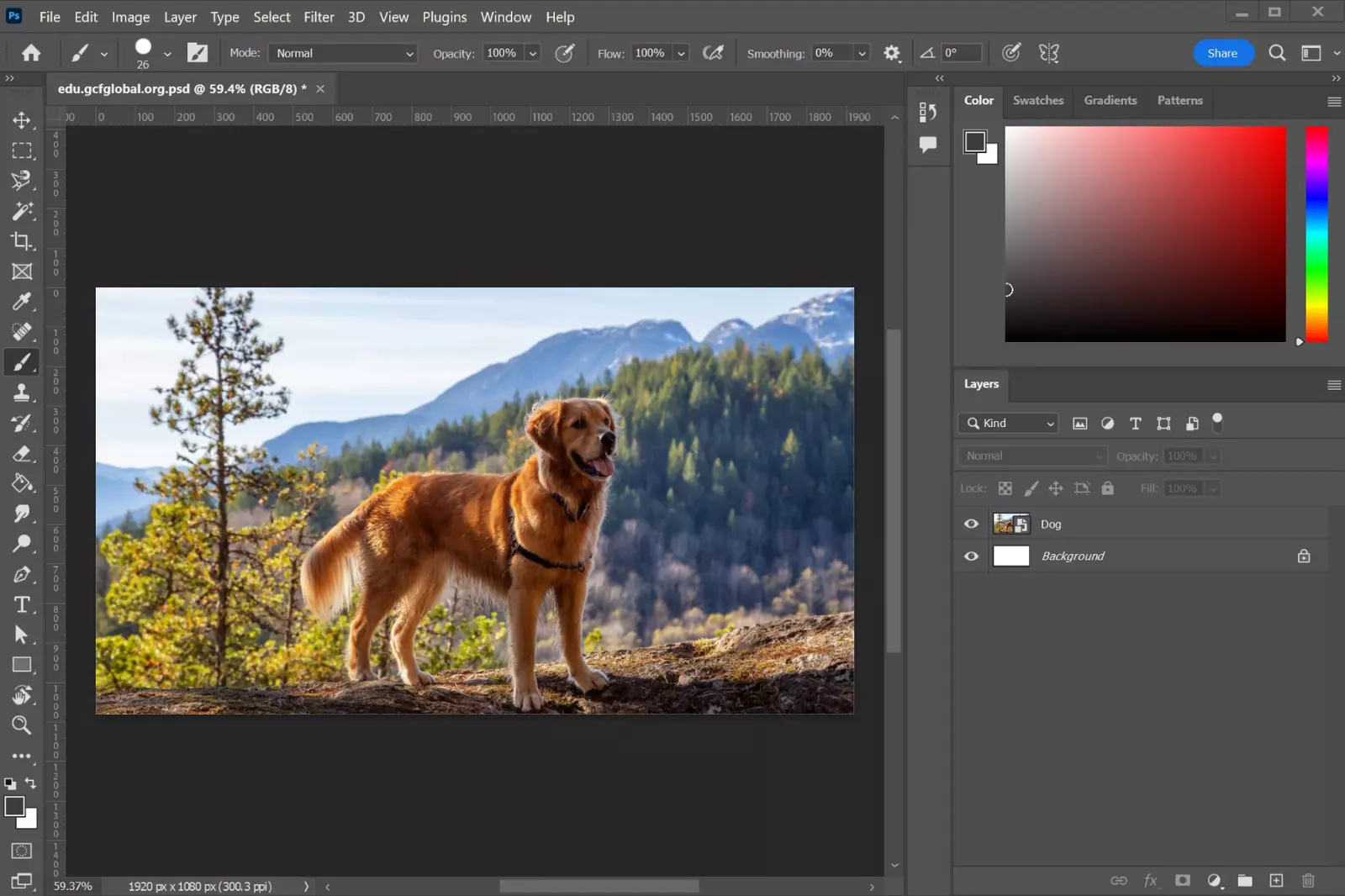 How to Resize an Image in PhotoShop