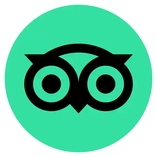 Tripadvisor logo - a white owl character over a green background.