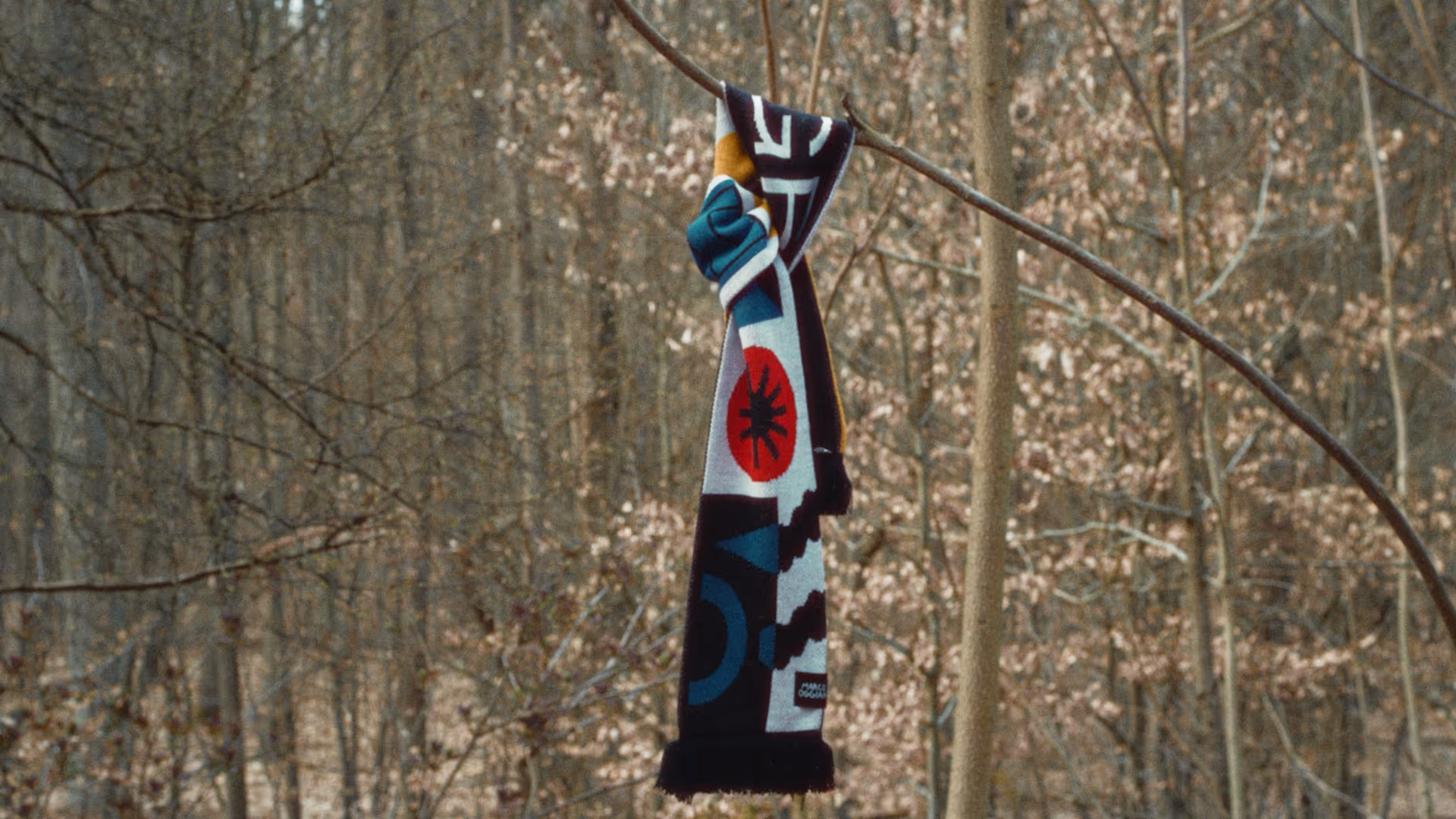 A scarfs hangs on a tree.
