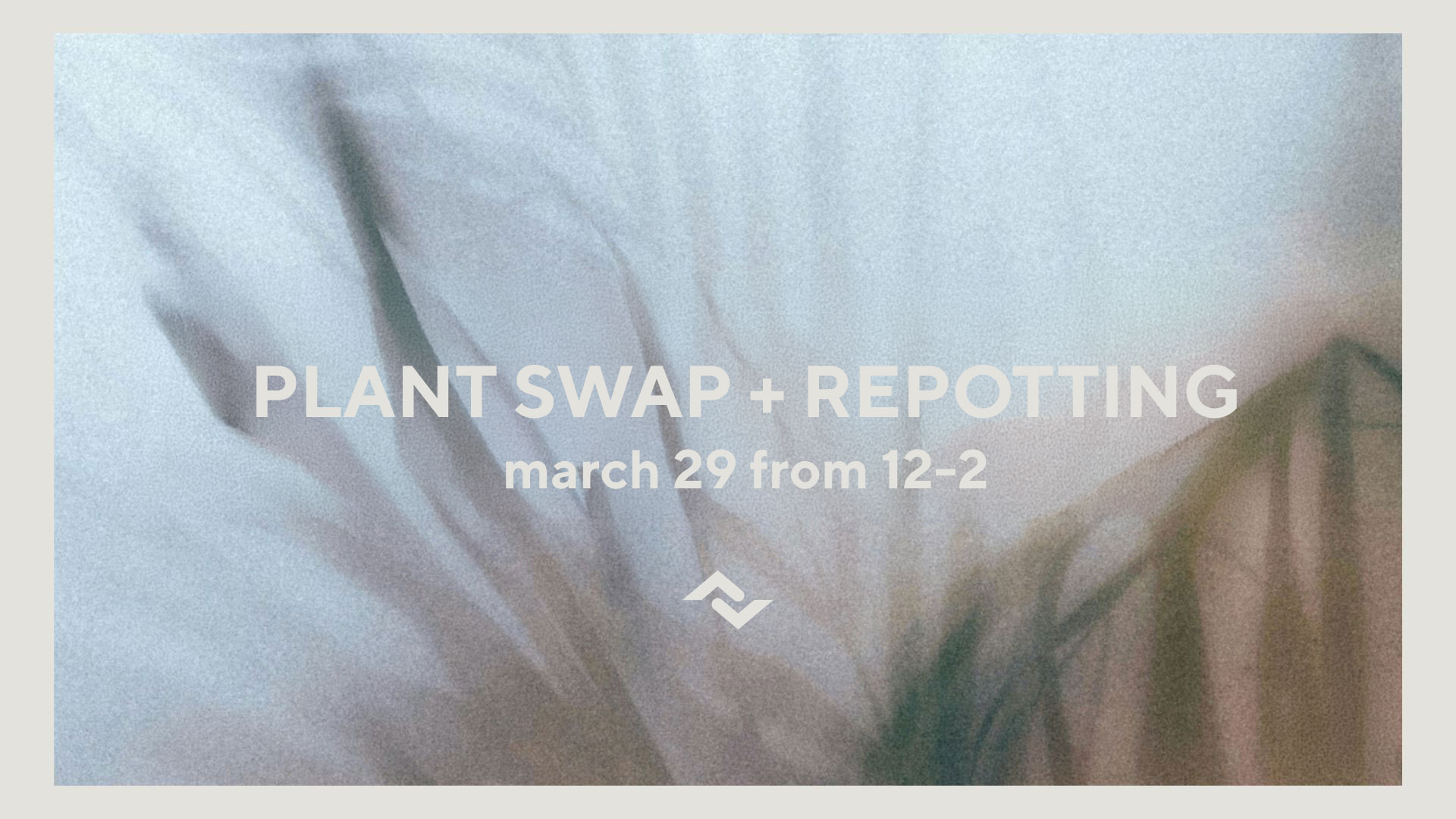 Plant Swap and Repotting | Grandview Campus