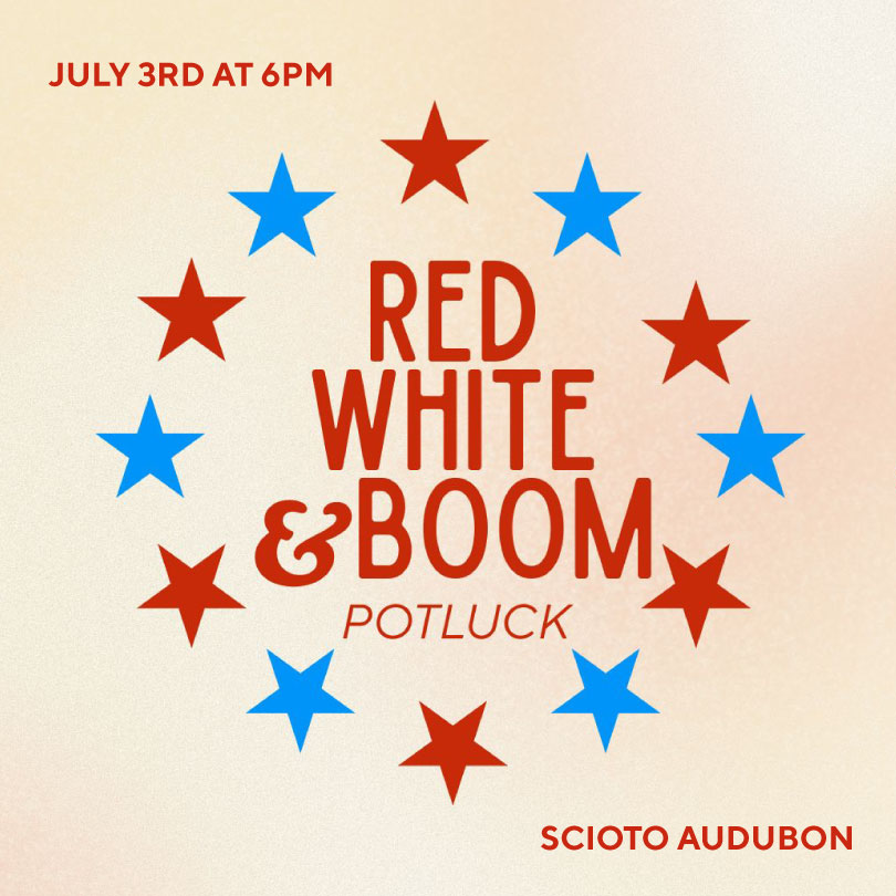 Red, White and Boom Potluck