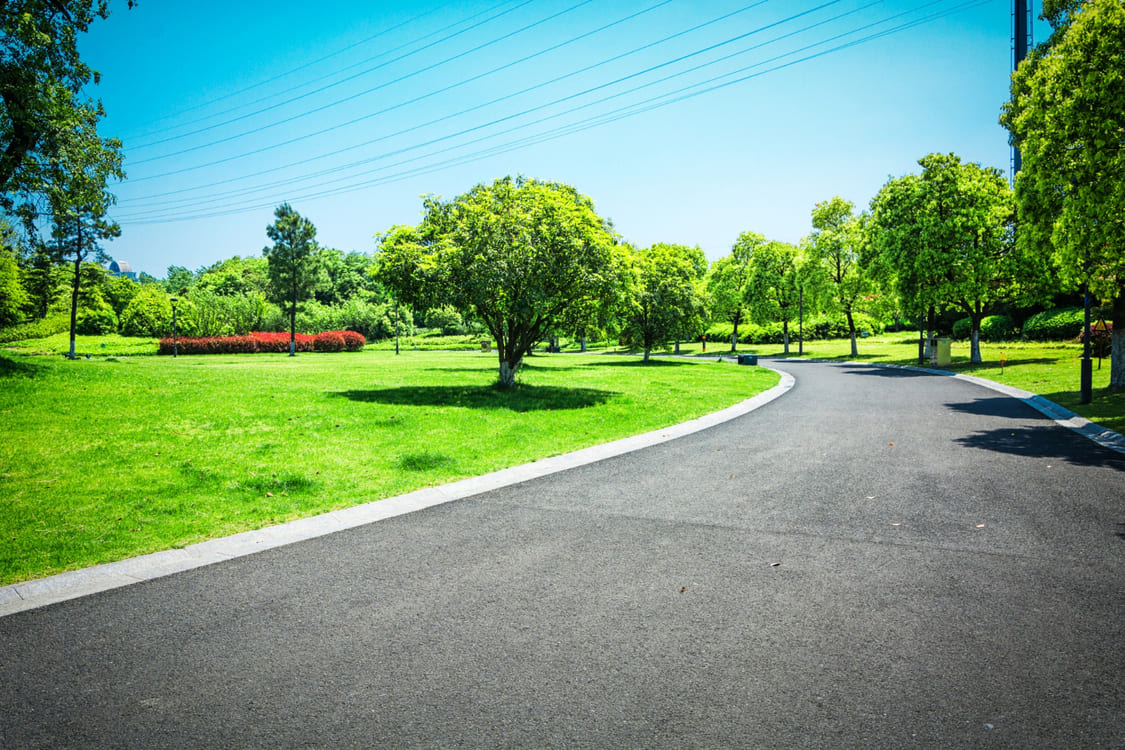 City park with beautiful landscape