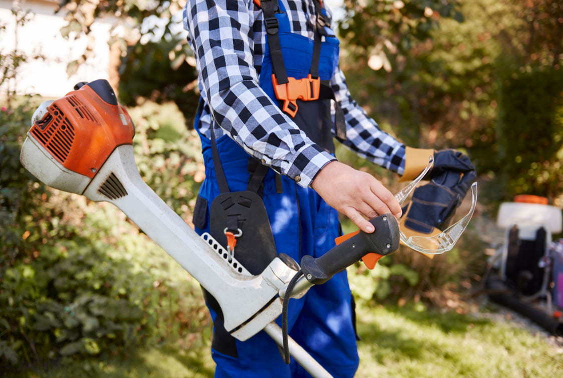 Professional Lawn Maintenance