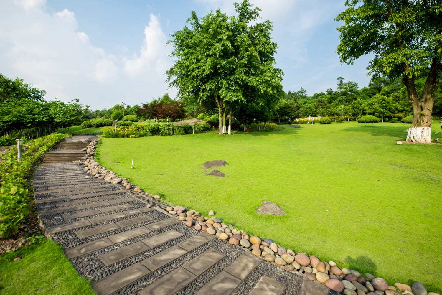 Beautiful landscape design