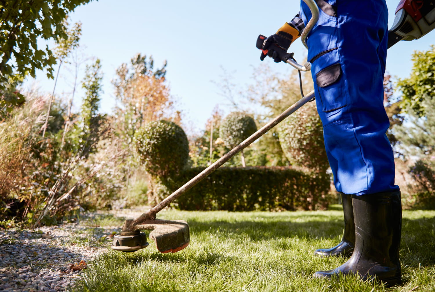 A man providing landscpae services