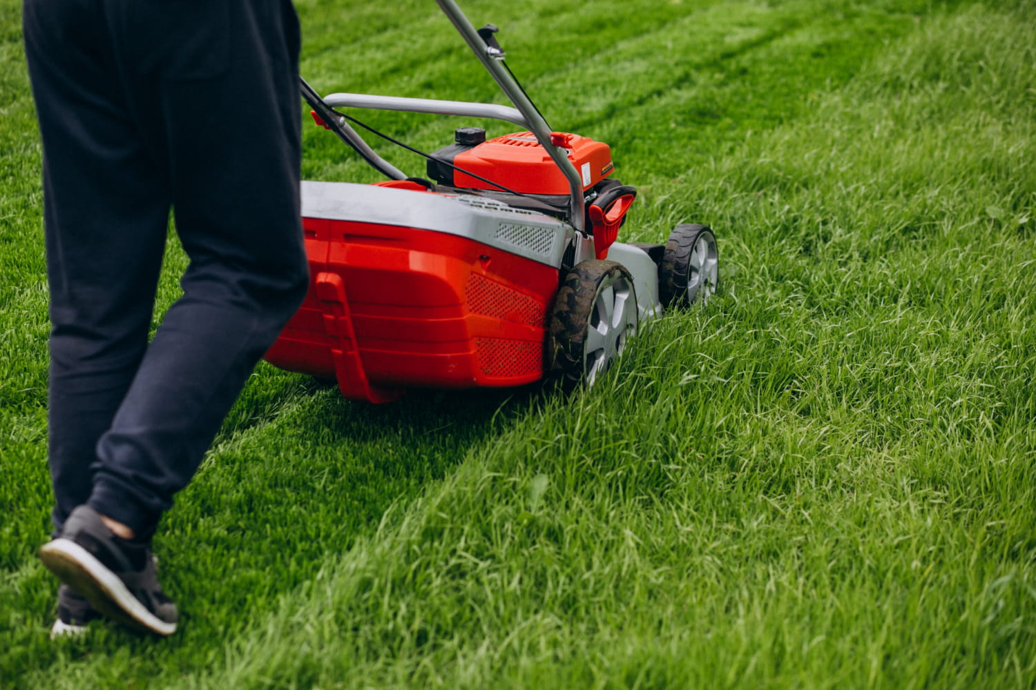 A man providing lawn maintenance services