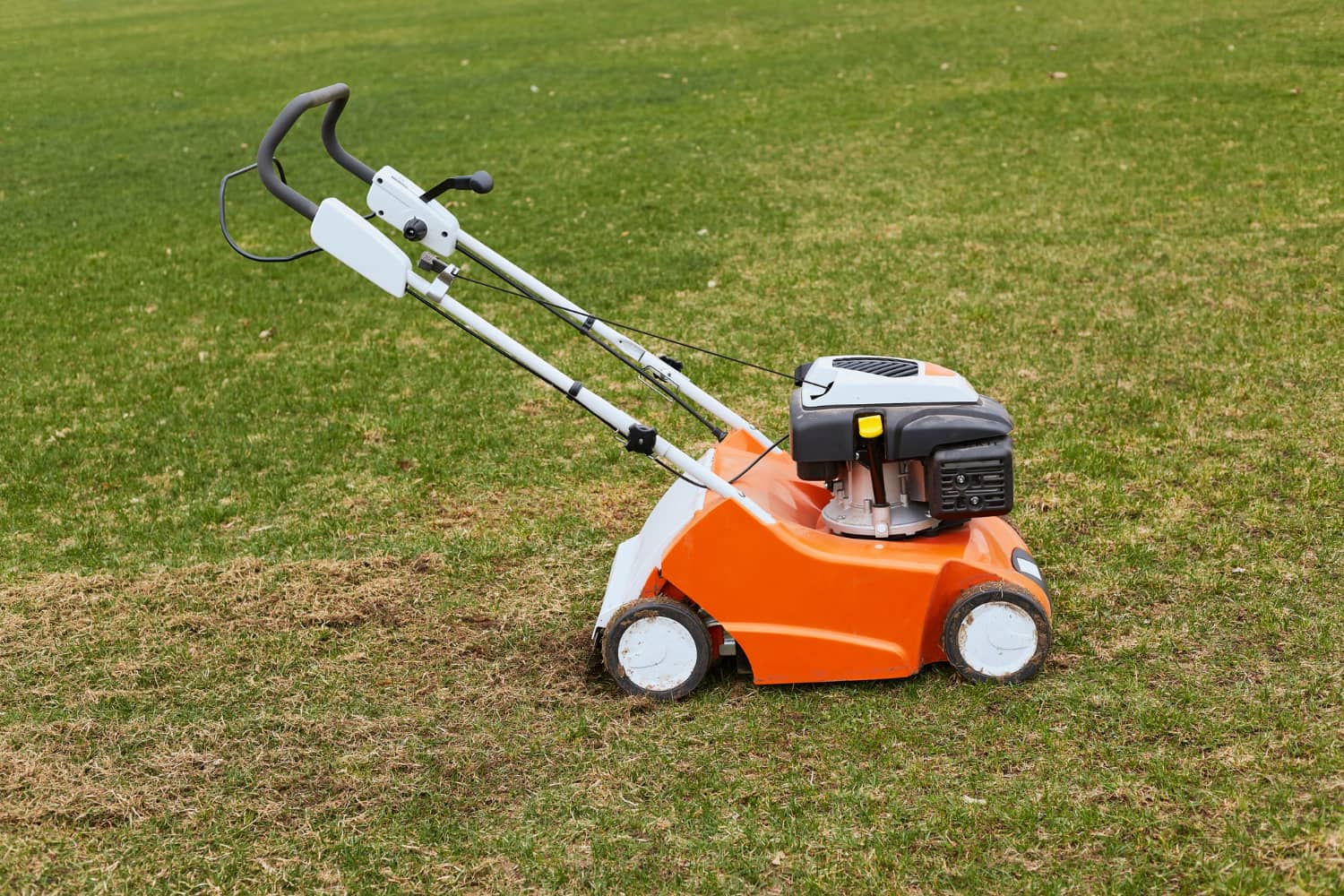 Lawn mower use for lawn maintenance