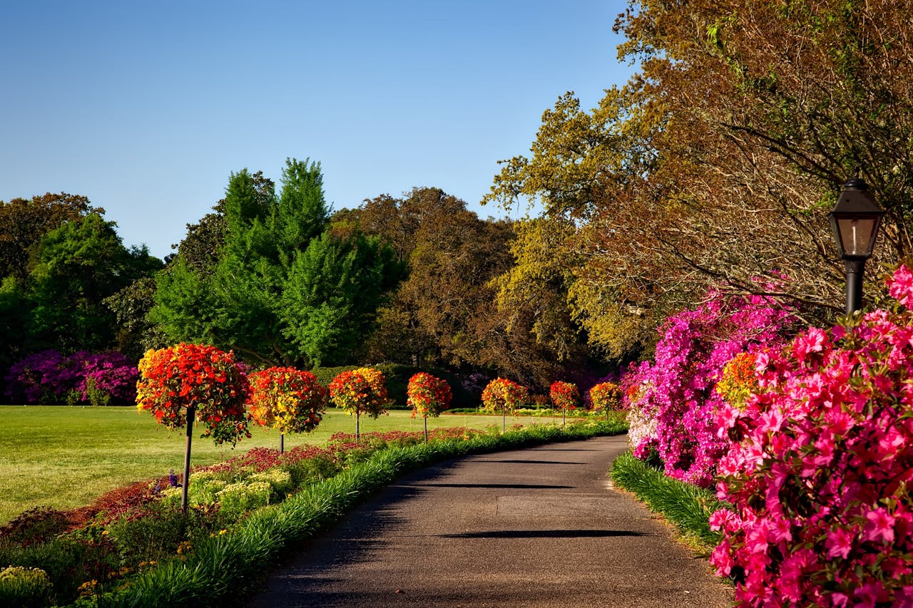 beautiful landscape design