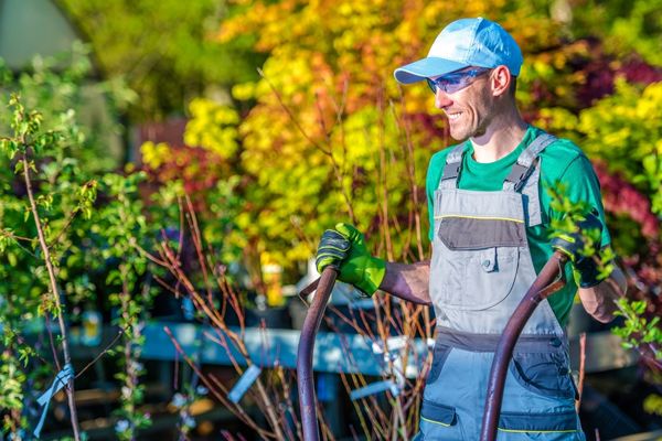 Worker cleaning up yard debris