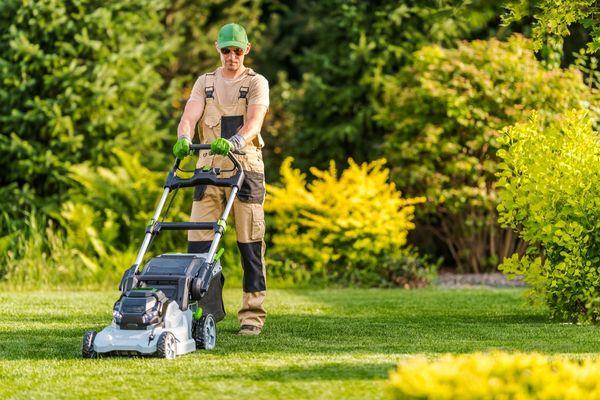 Worker mowing grass to maintain health