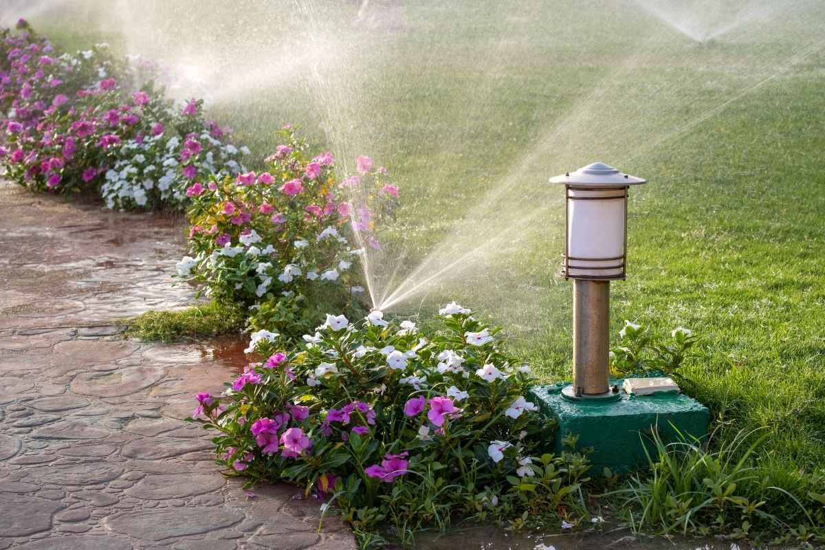 Sprinkler irrigation system watering grass and flowers