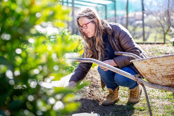 Woman planning garden irrigation system setup