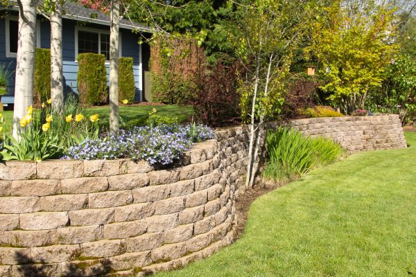 Lawn bordered by stone edging.