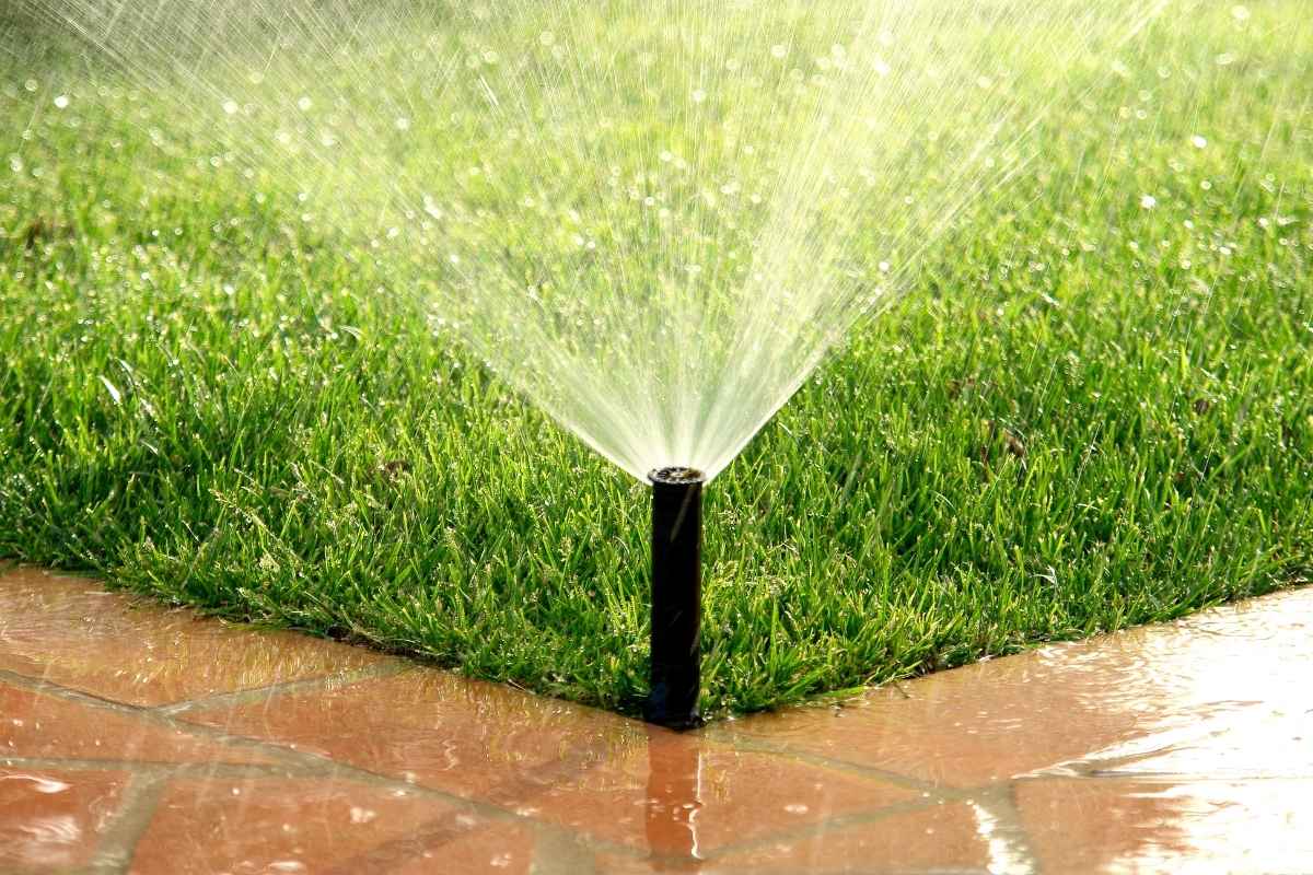 Automatic irrigation system watering a garden.