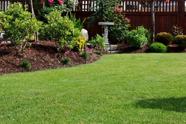 A clean and healthy lawn.