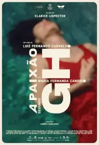 Cartaz filme a paixao segundo g.h clarice lispector
