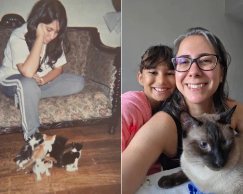 Criança brincando com gatos em casa