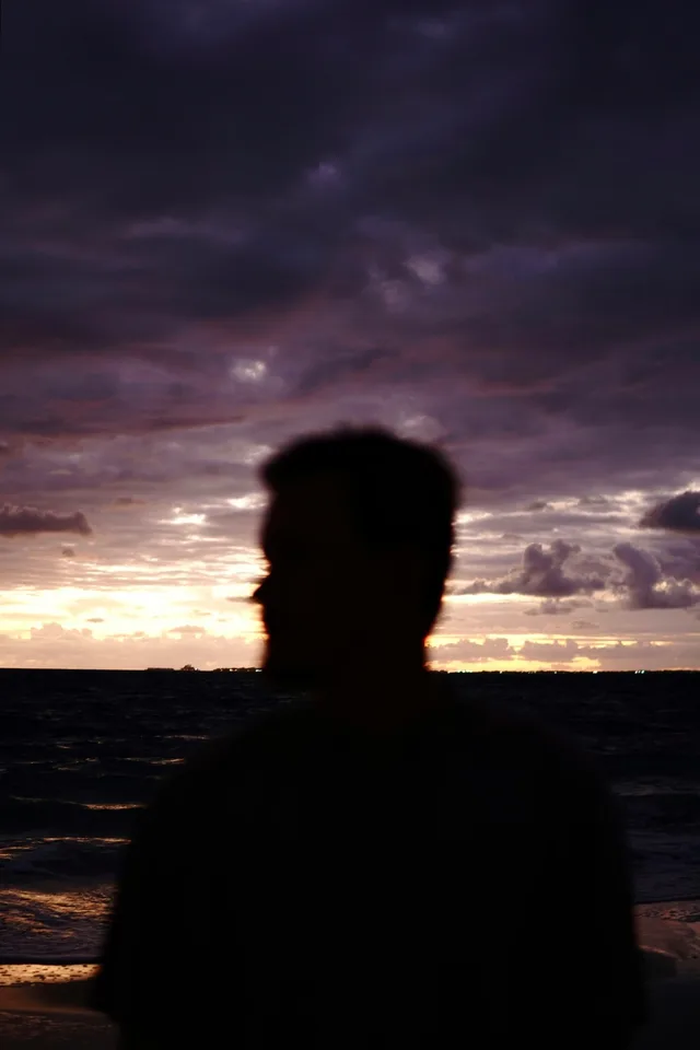 Silhouette at dusk