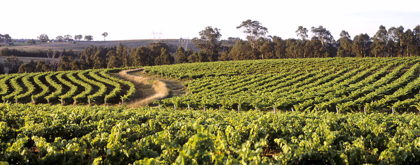 Australian Energy & Environmental Market Update - July 2025