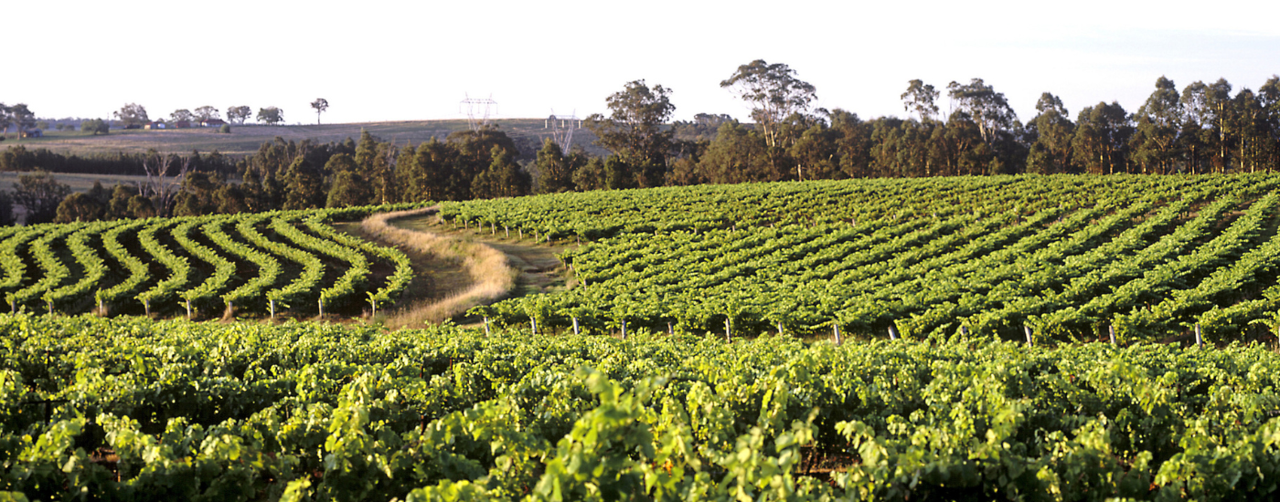 Australian Energy & Environmental Market Update - July 2025