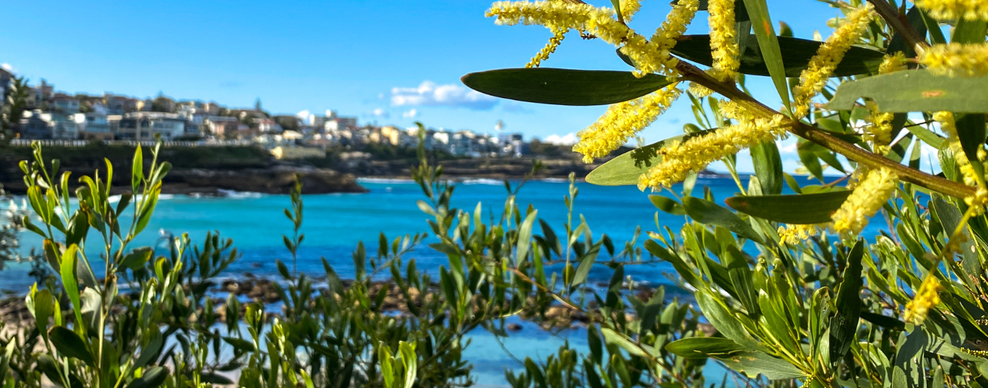 Signals and shifts: What Q2 2025 reveals about Australia’s ACCU market