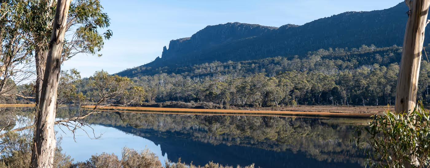 Australian Energy & Environmental Market Update - September 2025 
