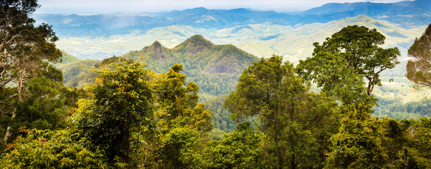 Australia’s 2035 NDC: What it means for the Safeguard Mechanism and the carbon market’s next phase