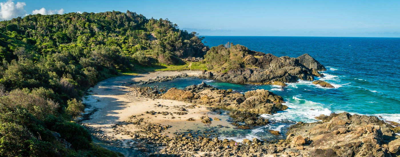 ACCU Market Monthly Report - November 2025 