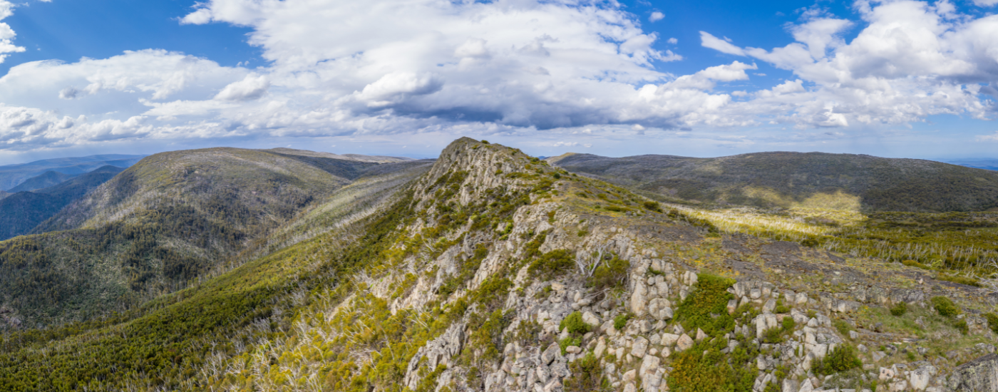 Australian Energy & Environmental Market Update - November 2025