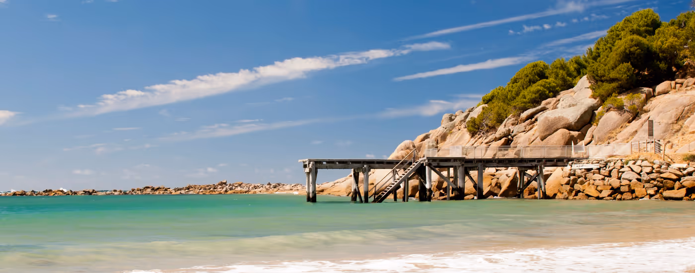 ACCU Market Monthly Report - December 2025