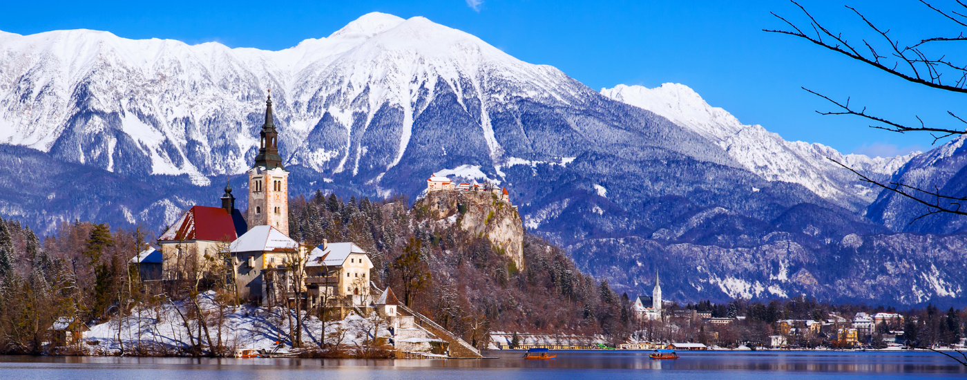 Global Environmental Markets Update - December 2025