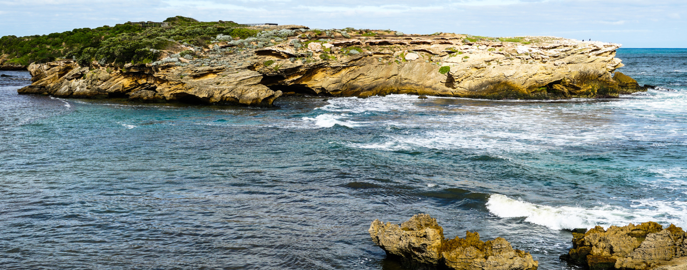 ACCU Market Monthly Update - February 2026