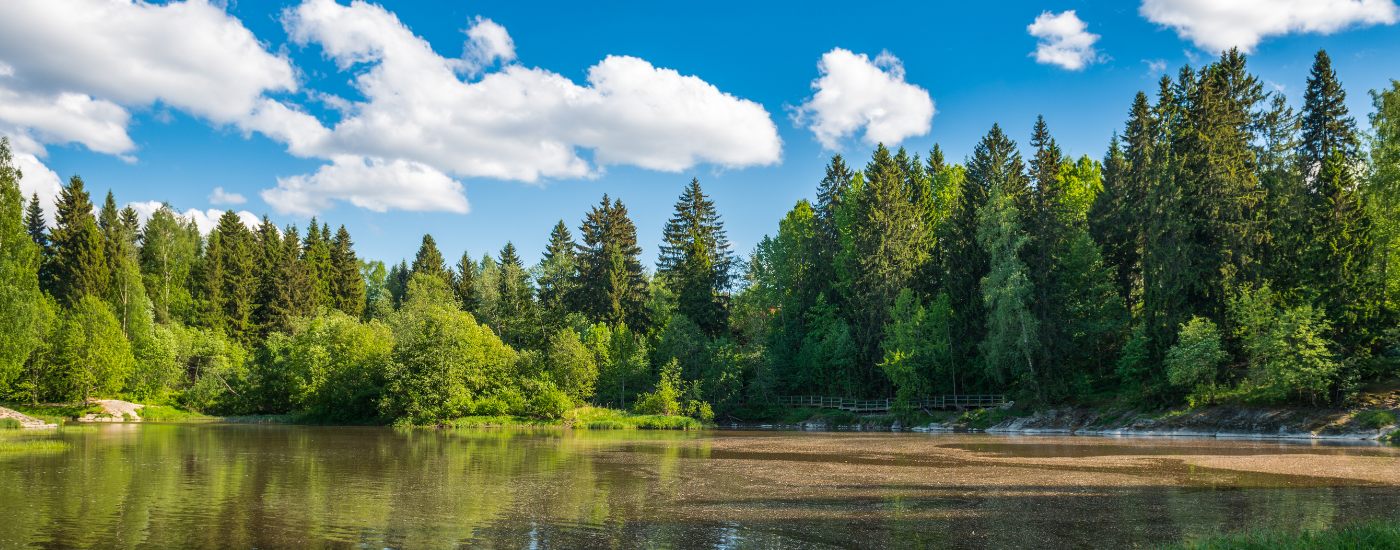 Global Environmental Markets Update - February 2026 