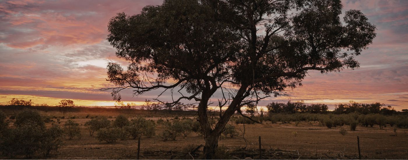 ACCU Market Monthly Update - March 2026 