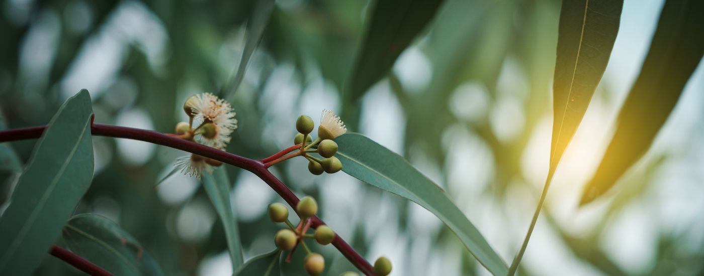 ACCU Market Monthly Update - April 2026