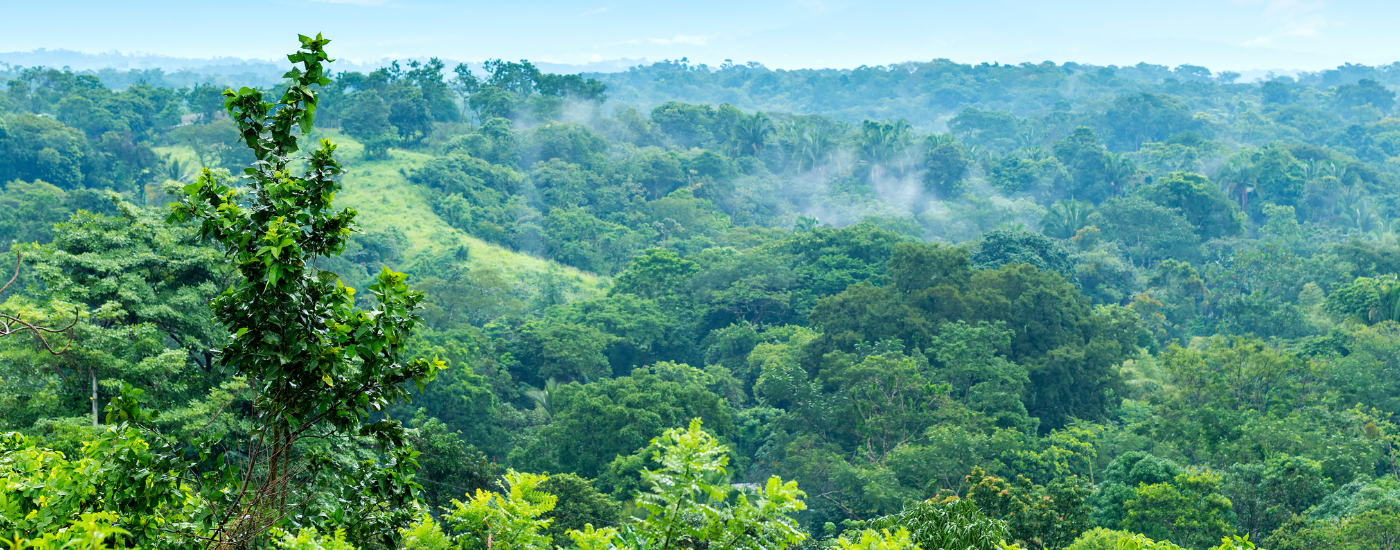 Global Environmental Markets Update - April 2026  